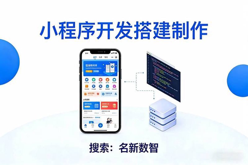 软件定制开发：企业发展的智能催化剂